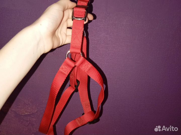 Шлейка для собаки, средней породы