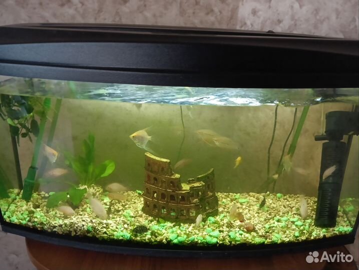 Украшение для аквариума