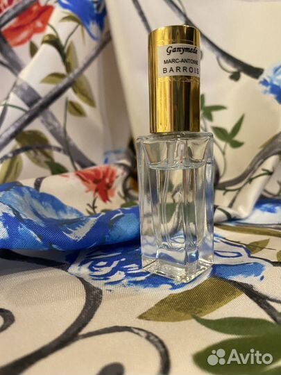 Ganymede marc-antoine barrois