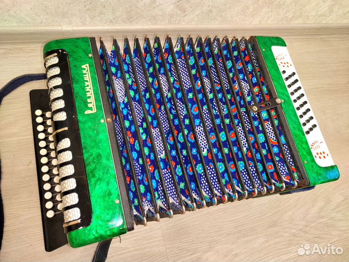 Гармонь Рябинушка тульская 402 ля