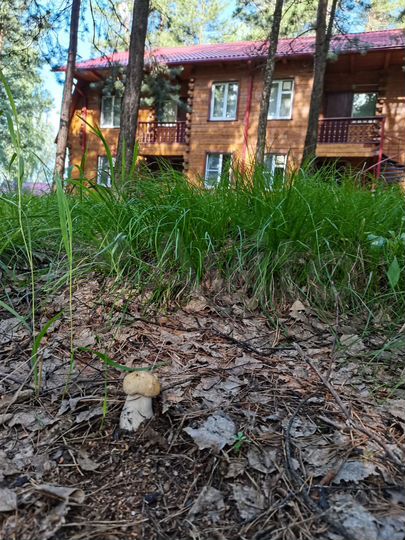 Участок 1,72 га (промназначения)