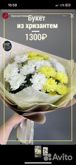 Живые цветы/Оформление/Доставка