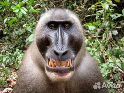 Стильная стрижка