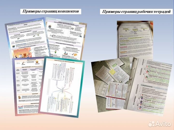 Репетитор по обществознанию ЕГЭ