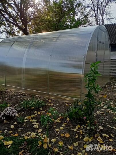 Теплица Все размеры