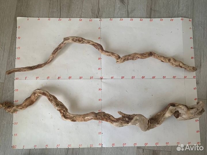 Коряги для интерьера