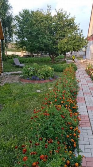 Дом 217 м² на участке 12 сот.