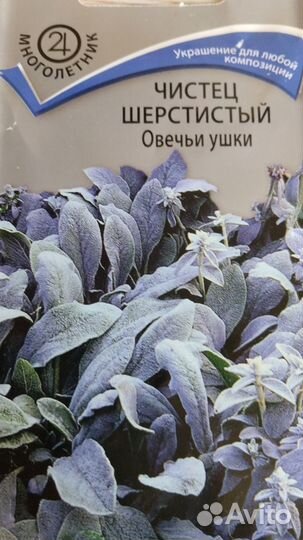 Растения для сада