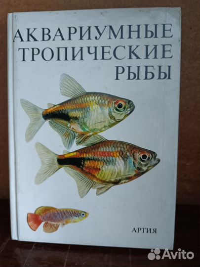 Аквариумные тропические рыбы