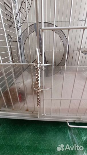 Клетка для хорька, шиншиллы, дегу