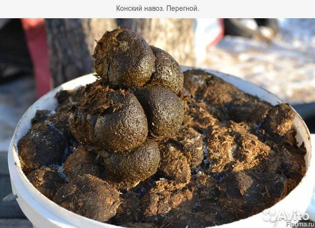 Навоз конский, перегной