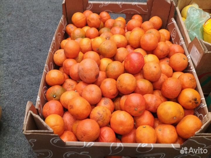 Яблоки мандарины овощи