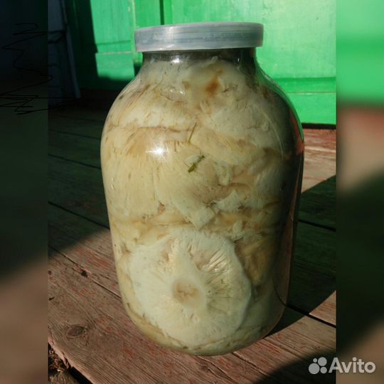 Грузди белые соленые и микс