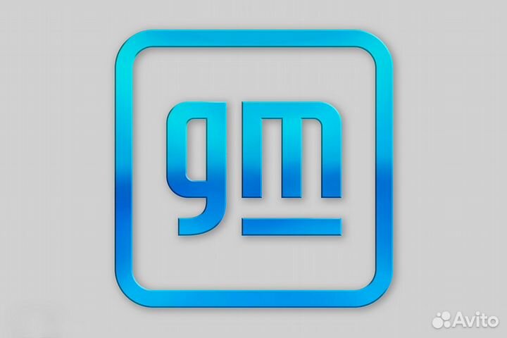 Прошивка, программирование блоков GM. Vin, Carpass