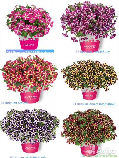 Вегетативные черенки