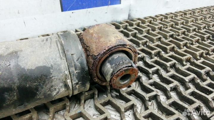 Амортизатор/стойка задняя (разное) Renault Megane