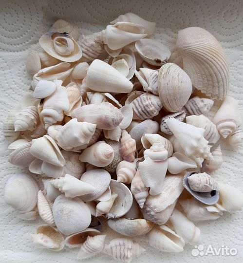 Морские ракушки декор для дома грунт для аквариума