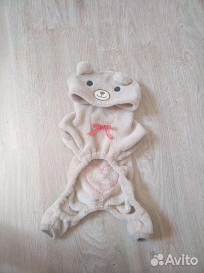 Одежда для собак