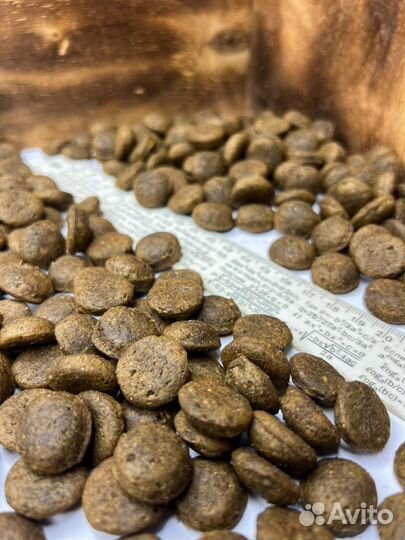 Корм для собак