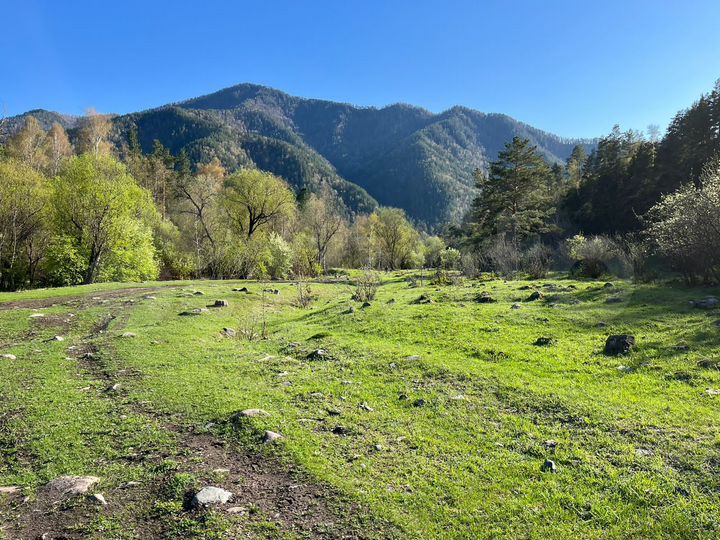 Участок 9 га (СНТ, ДНП)