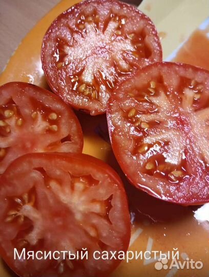 Помидоры семена
