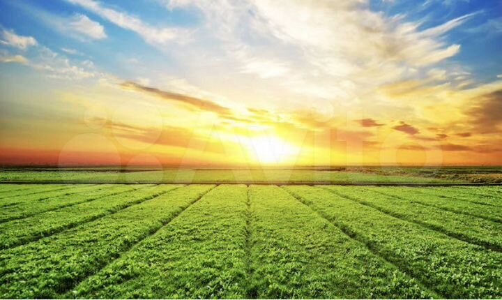 Участок 20 сот. (СНТ, ДНП)