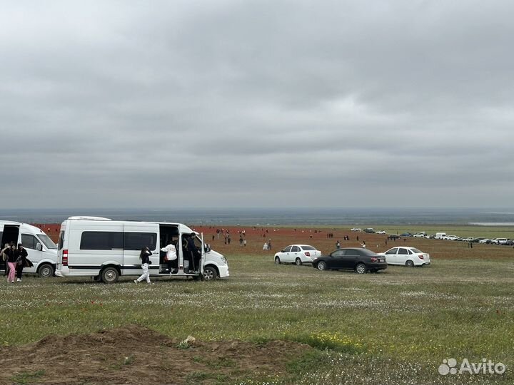 Пассажирские перевозки