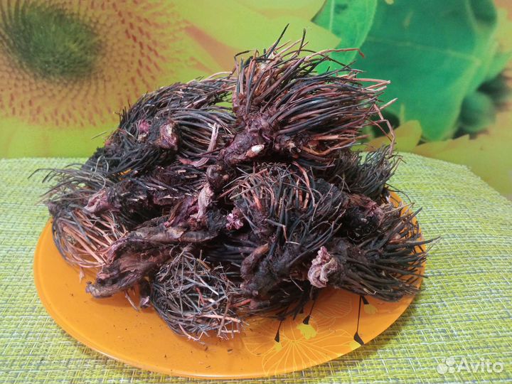 Красная щетка