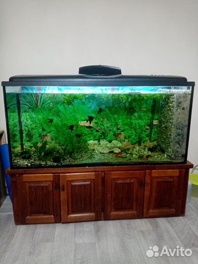 Аквариум на 500 литров в комплекте