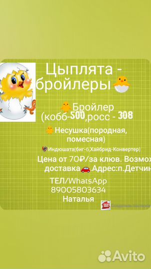 Цыплята бройлеры