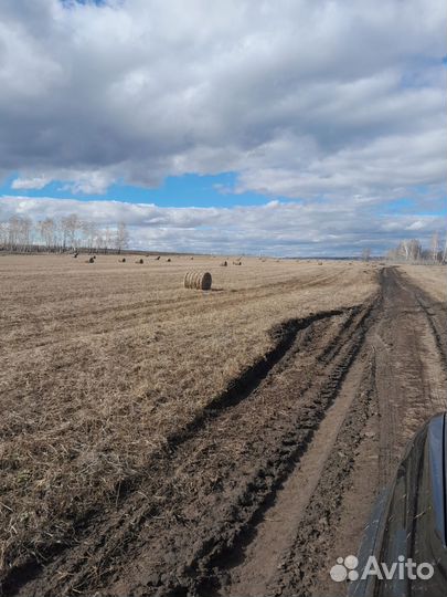 Сено в рулонах