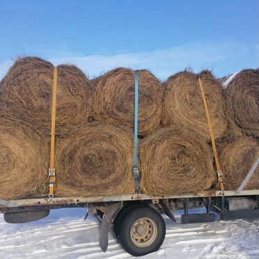 Продам сено в рулонах, свежее