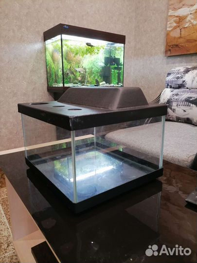 Отсадник для мальков