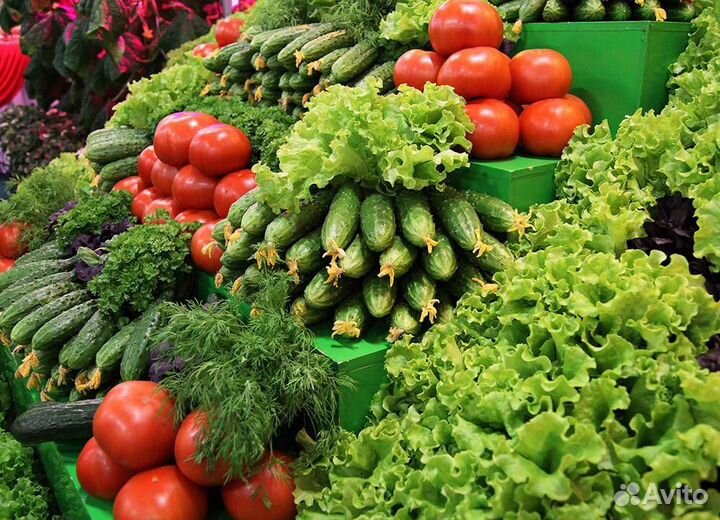 Сортировщик продуктов вахта Клин