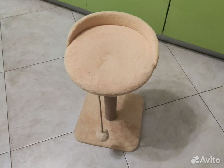 Когтеточка для кошек