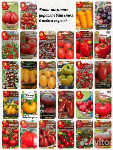 Семена томатов