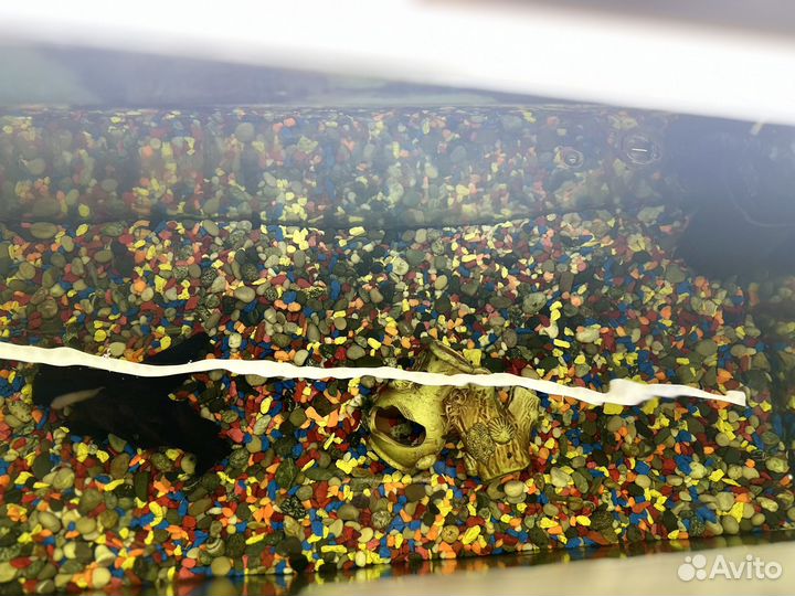 Аквариум 160 литров