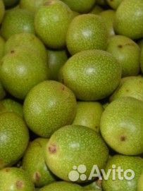 Грецкие орехи оптом