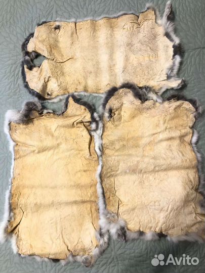 Шкурки кролика