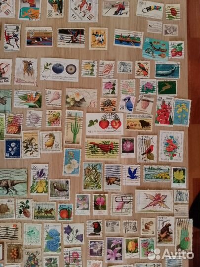 Марки спорт, техника и флора и фауна