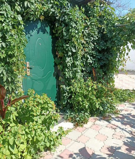 Комната 12 м², 1/1 эт.