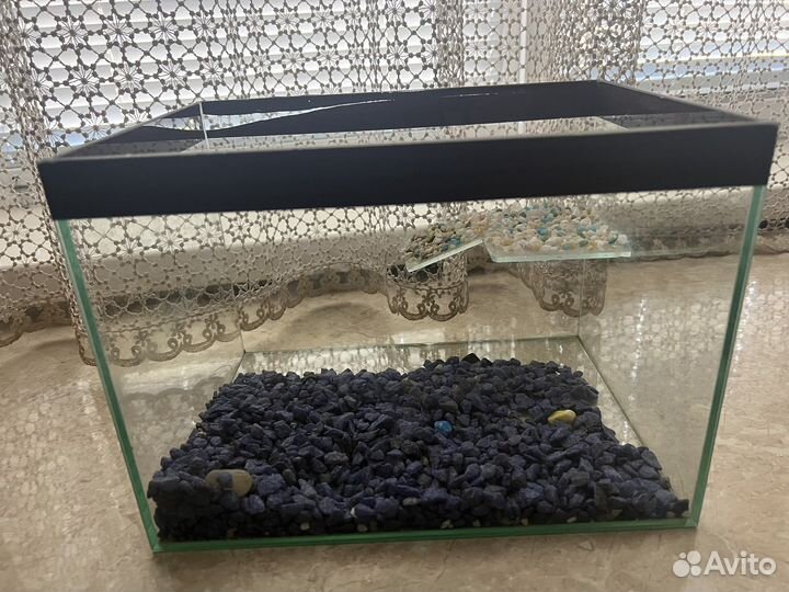 Аквариум для черепах и рыбок