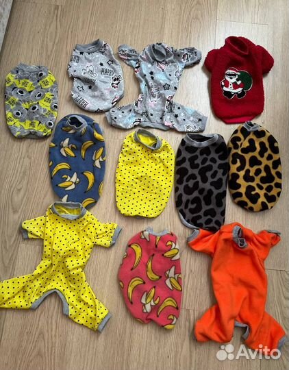 Одежда для собак мелких пород