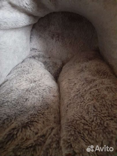 Домик для кошки бу