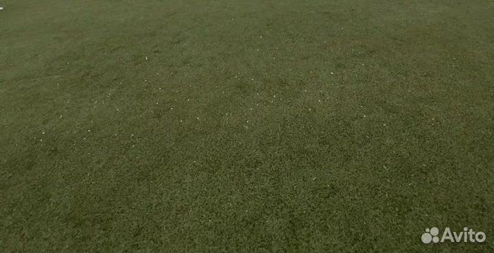 Искусственный газон
