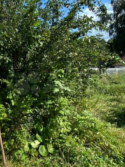 Дача 80 м² на участке 10 сот.