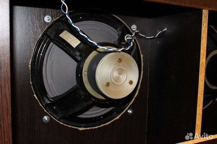 Динамики кинап