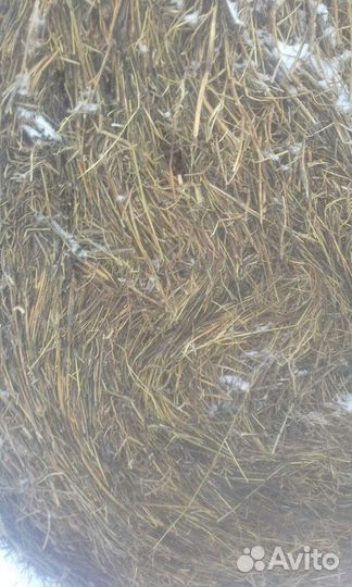 Сено в рулонах доставка