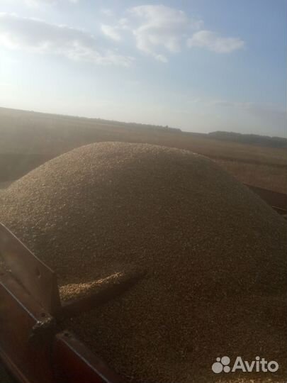 Продам зерно, комбикорм,сено,мед,яйца,мясо