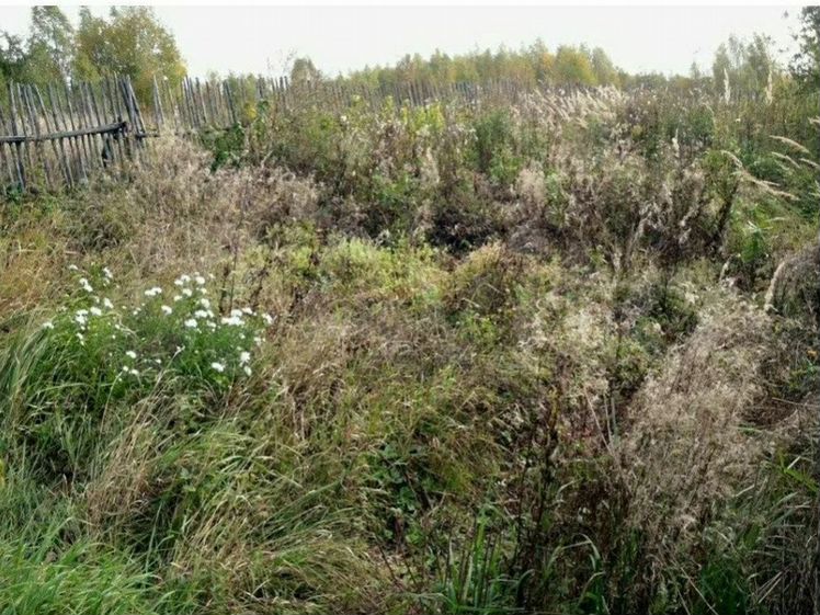 Где найти старые фото земельных участков кущевский район - Земельные участки в Краснодарском крае: продажа и аренда Авито
